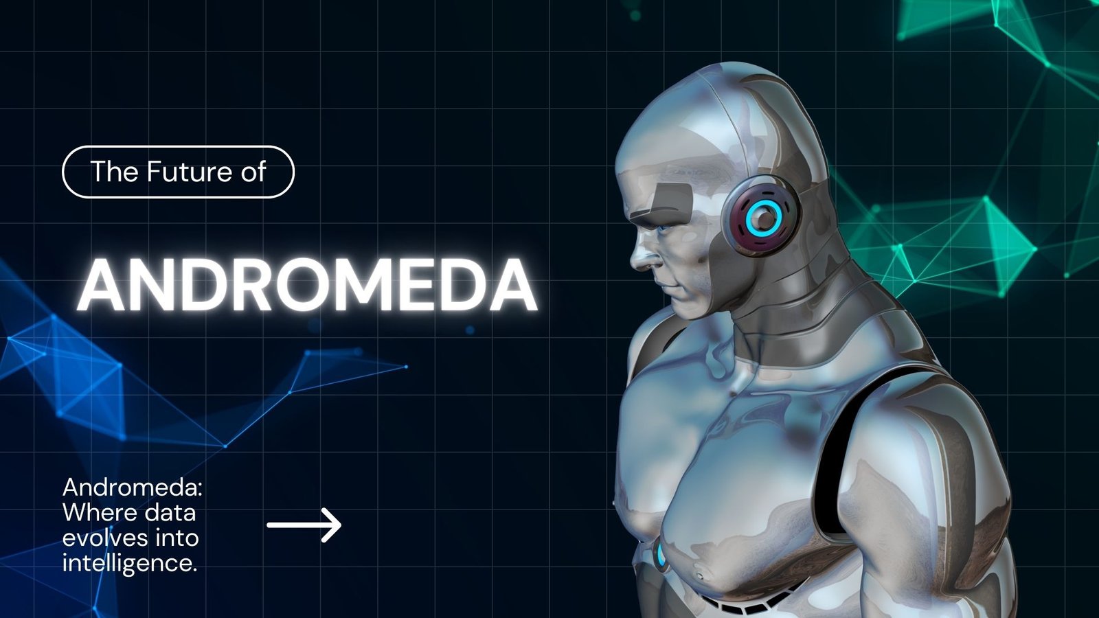 SEO EXPERT IN CALICUT